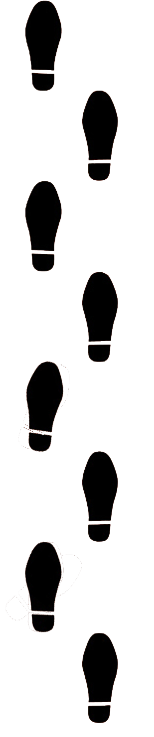 steps